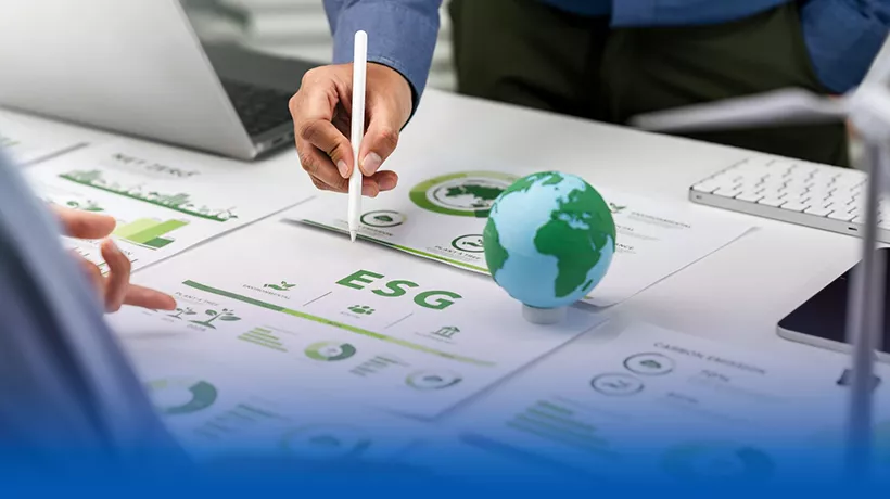 Master's in Sustainable Development & CSR